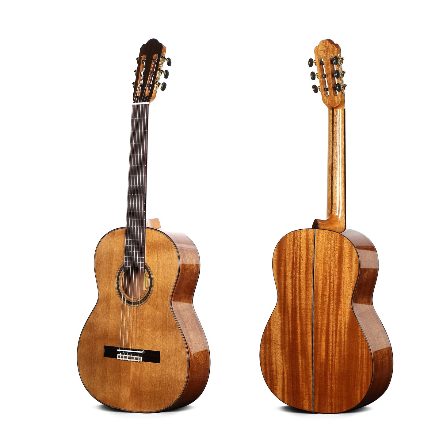 CG-800 39-Inch Classical Guitar | Solid Cedar Top & High Gloss Finish